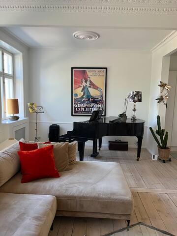 Big, modern apartment in the heart of Copenhagen gallery image 3