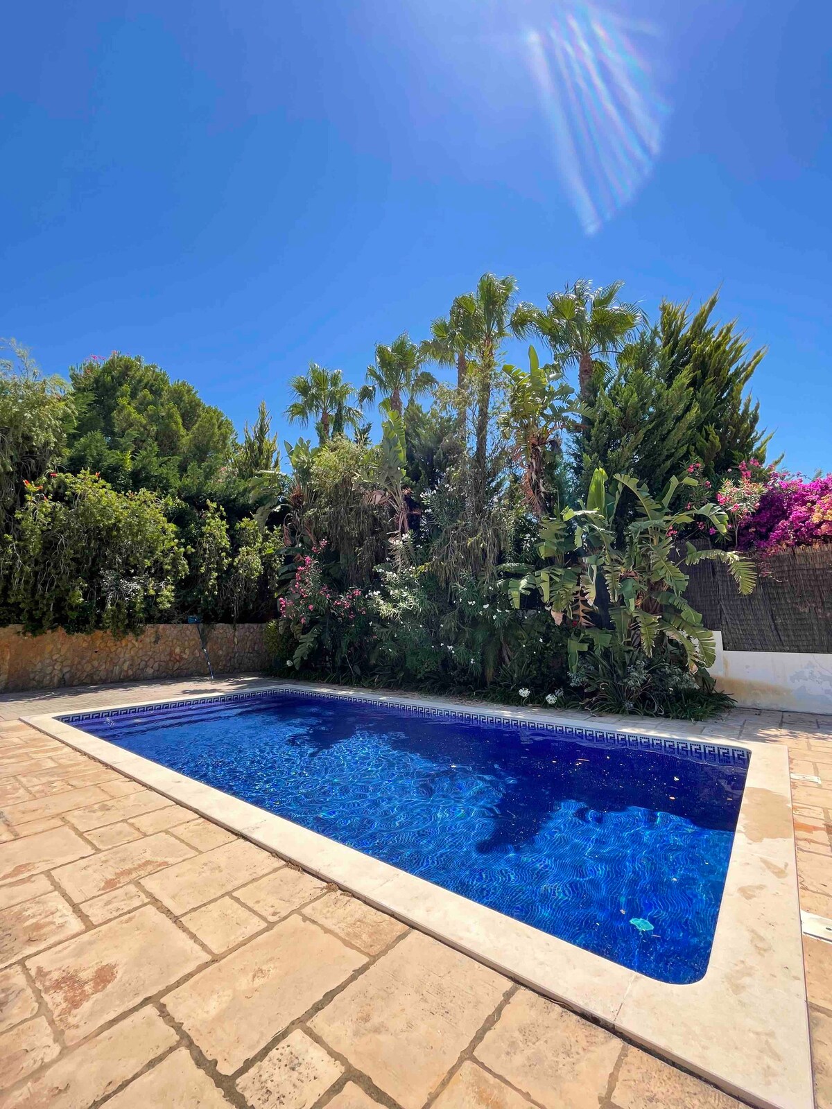 A private pool is surrounded by lush greenery and colorful flowering plants. The sparkling blue water reflects the clear sky above. Textured stone tiles frame the pool area, providing a spacious setting for relaxation.