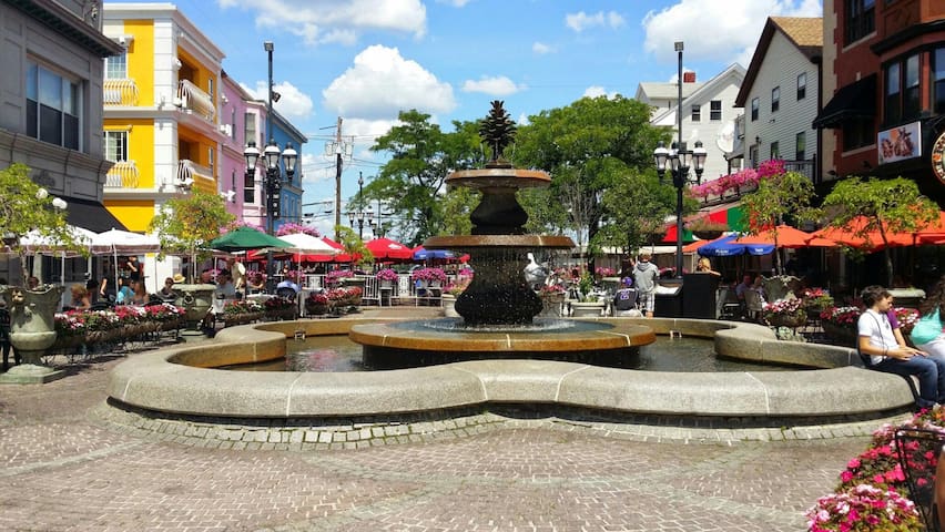 Luxury Condo in Historic Federal Hill/Downtown