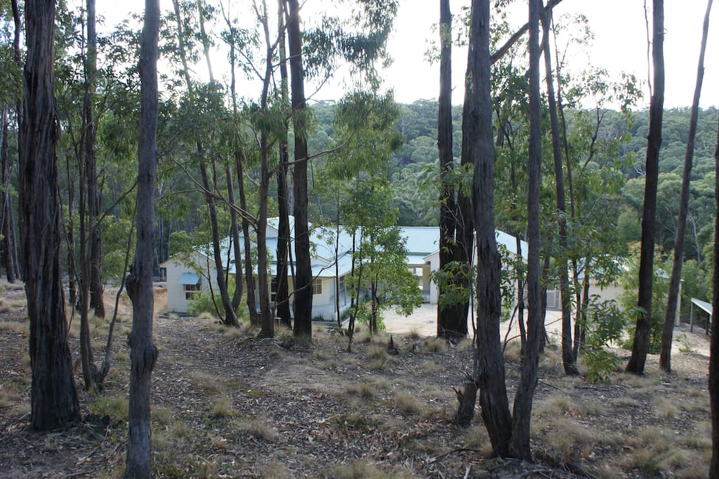 Set on 3 acres of beautiful bush you can walk around