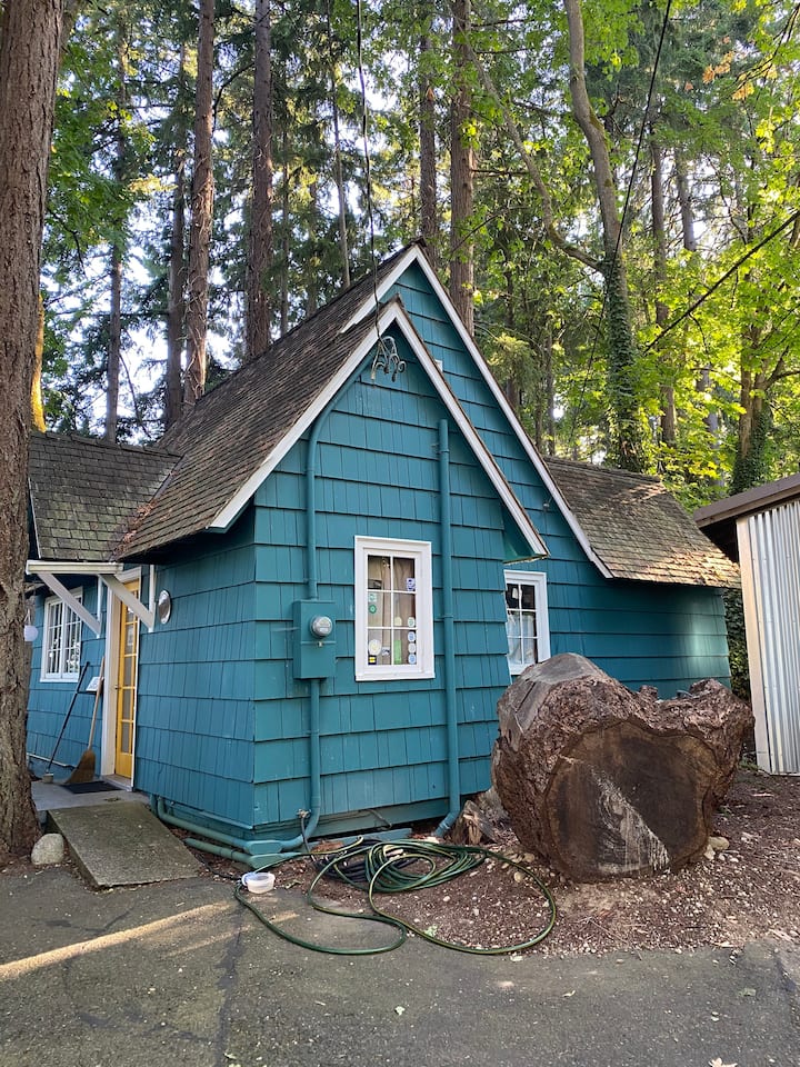 10 Handpicked Airbnb Tiny Houses In Olympia, Washington - Updated 2025 ...