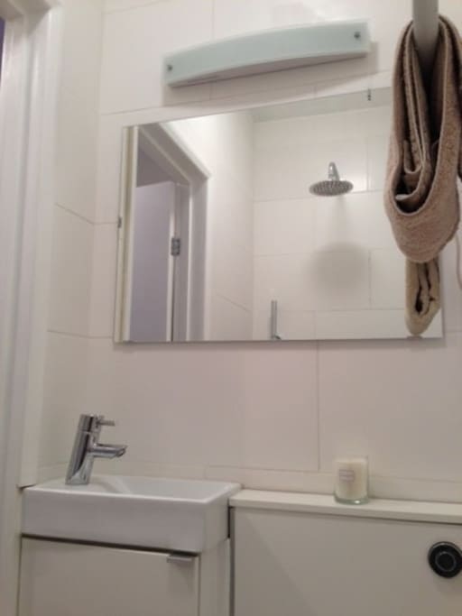Compact Bathroom