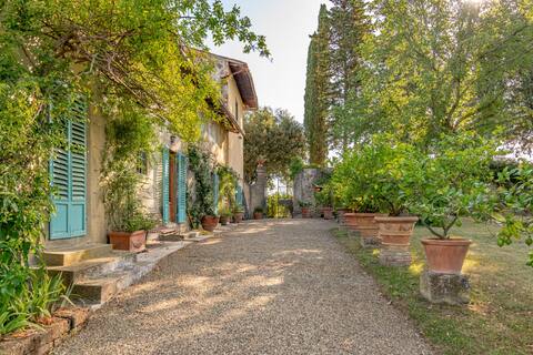 Historic Villa-Farm with Vineyards & Olives Trees