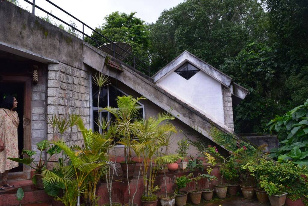 Side view of the house