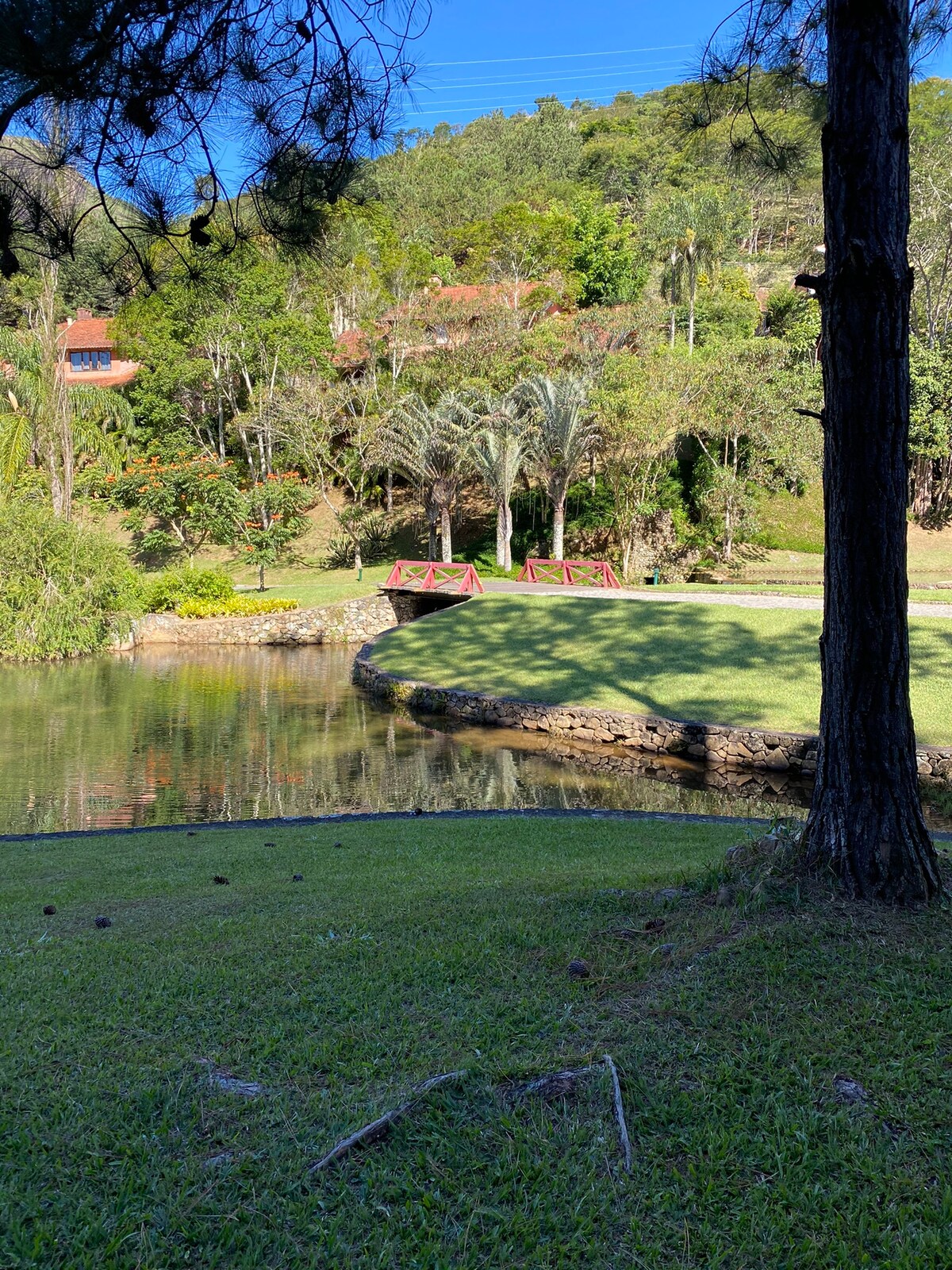 A serene landscape is presented, featuring a calm body of water reflecting the surrounding greenery. Two red benches are positioned along the water's edge, framed by vibrant shrubs and trees. A gentle slope leads to a lush, grassy area, enhancing the tranquil outdoor setting.