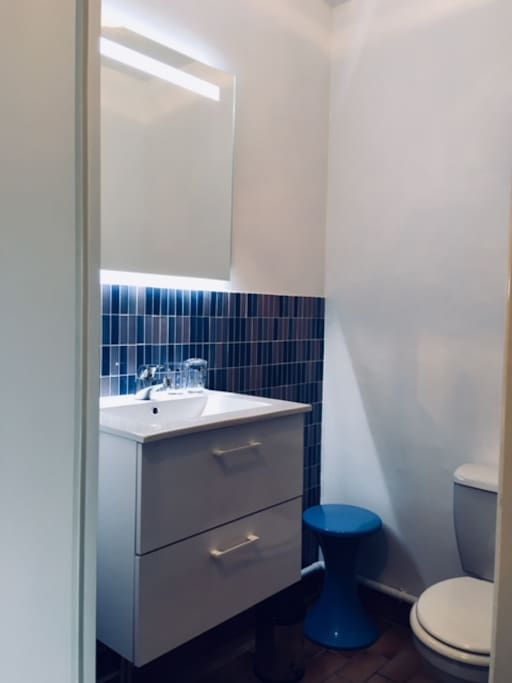 La salle d'eau + wc