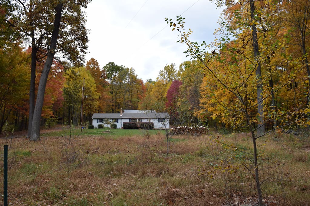 House Surrounded by Fall Foliage