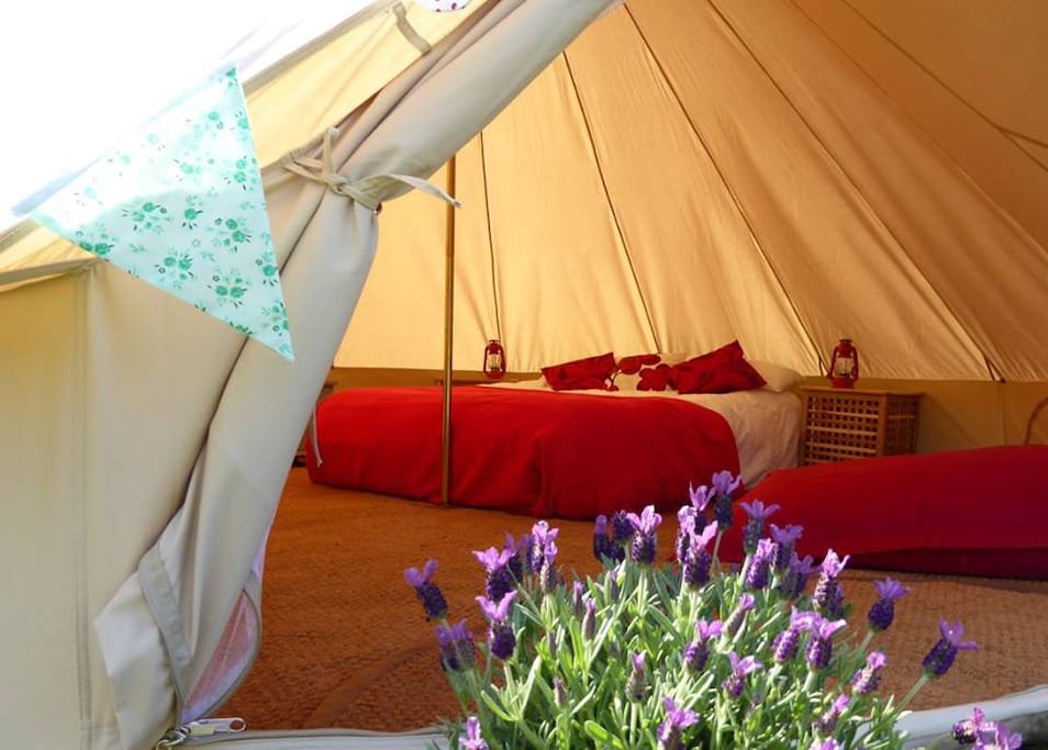 Watkinsons Farm - Bell tent