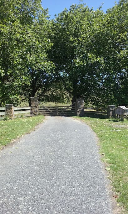 Live on a real farm. Private and so safe.