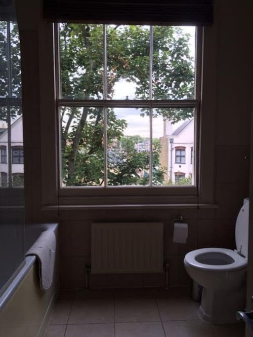 Loo with a view