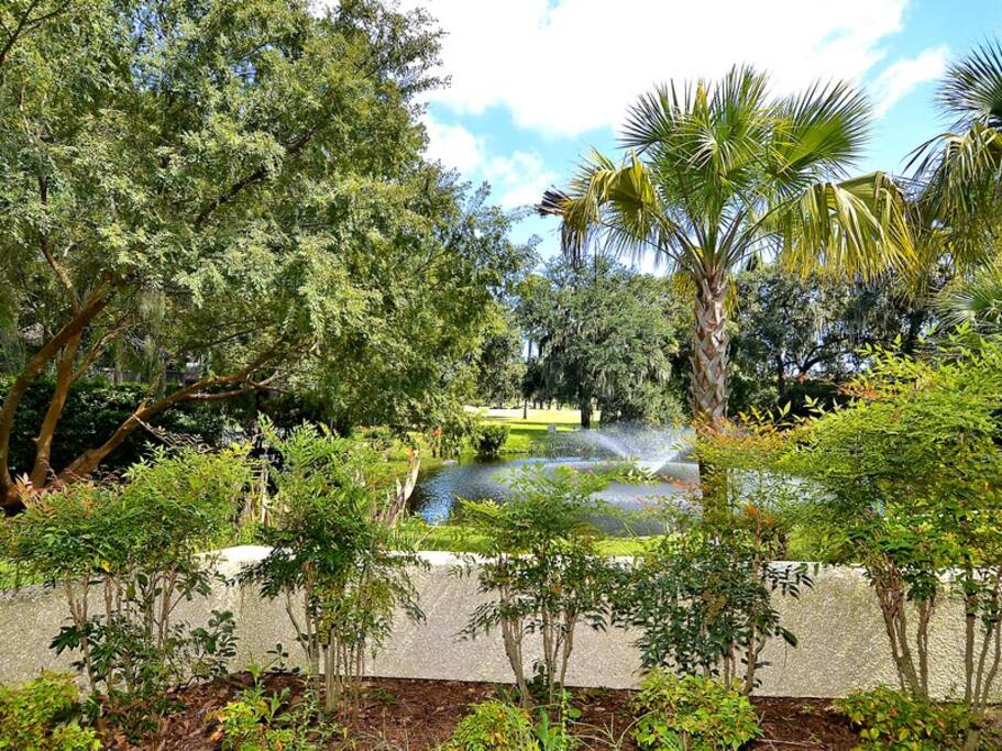 View from Patio