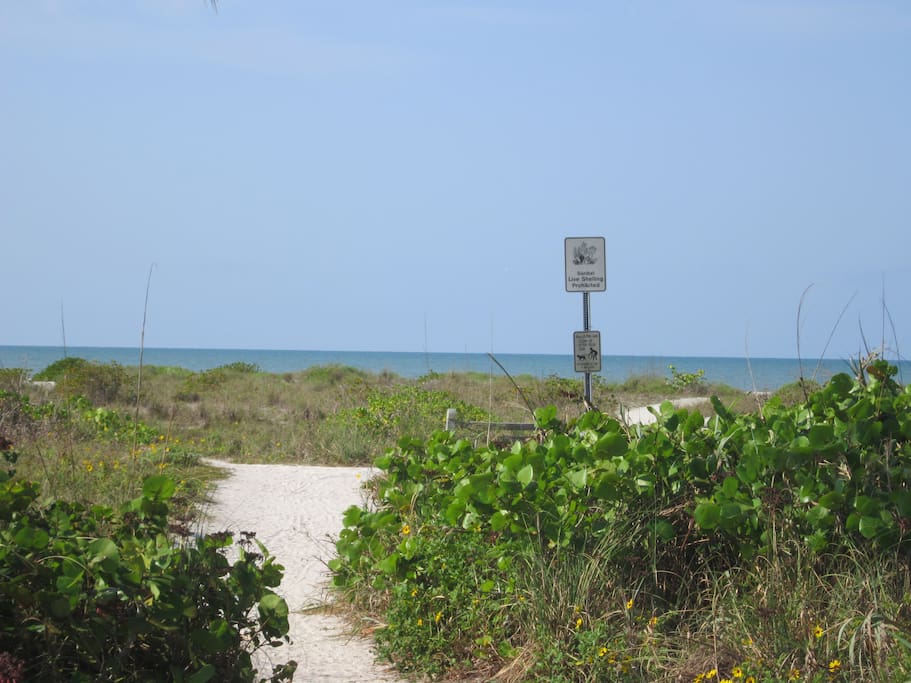 Just a short walk past the dunes to the beach