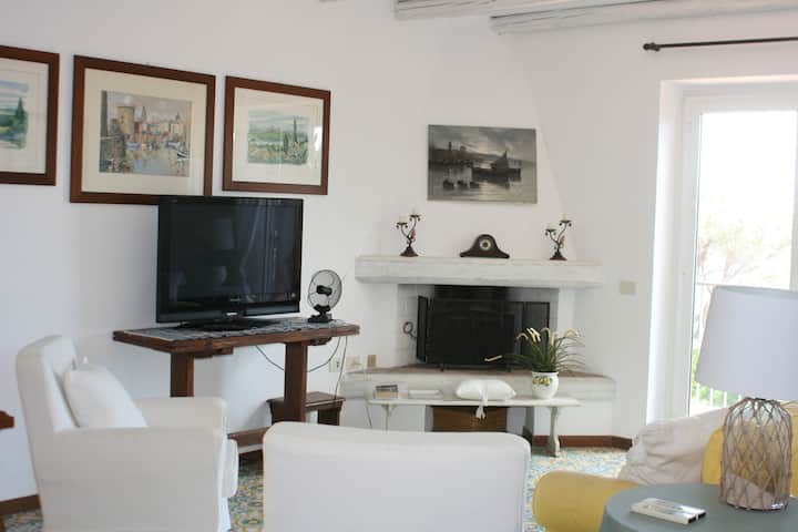 ห้องนั่งเล่นพร้อมเตาผิงและโซฟาเบดคู่