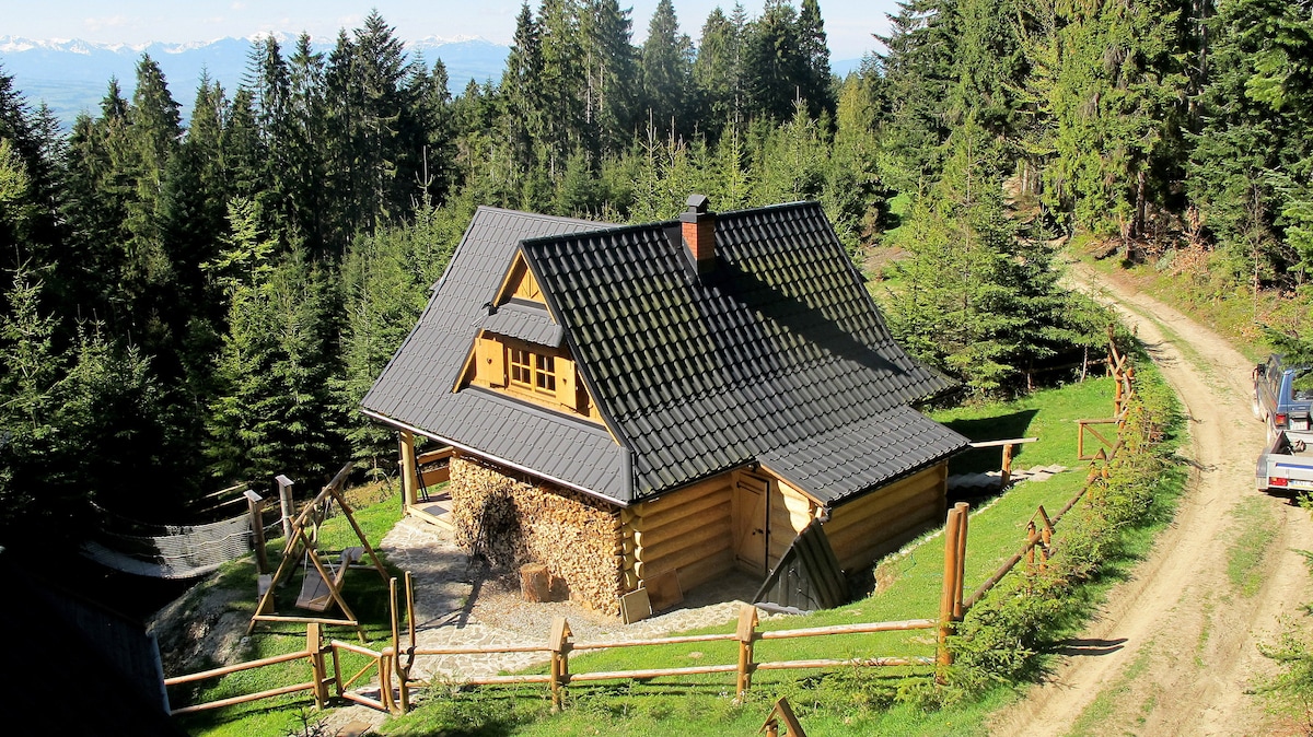A wooden cabin is situated among tall trees, with a sloping roof and brick accents. Surrounding paths and a wooden fence create a rustic setting, while a stacked log pile adds to the cabin's charm. Scenic landscapes can be seen in the distance.
