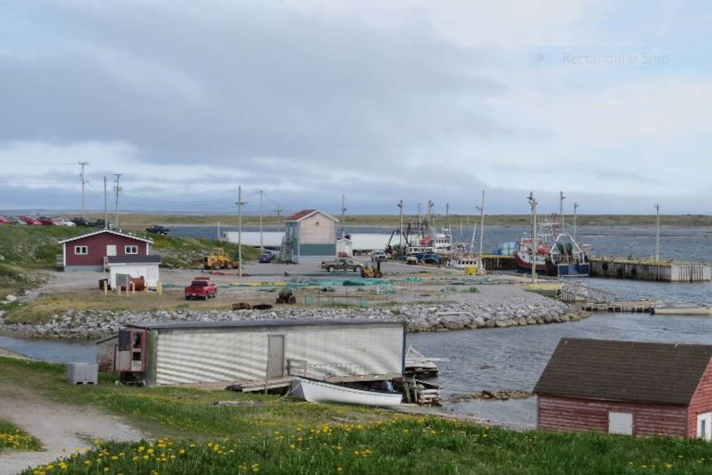 Ocean Front House in Newfoundland Houses for Rent in Cook's Harbour