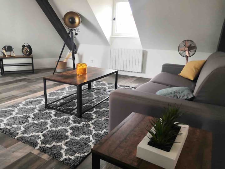 Apartment 4P Hypercentre. Cathedral square Apartments for Rent in