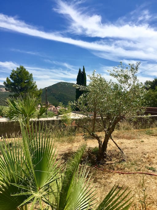 Jardin avec vue sur le village