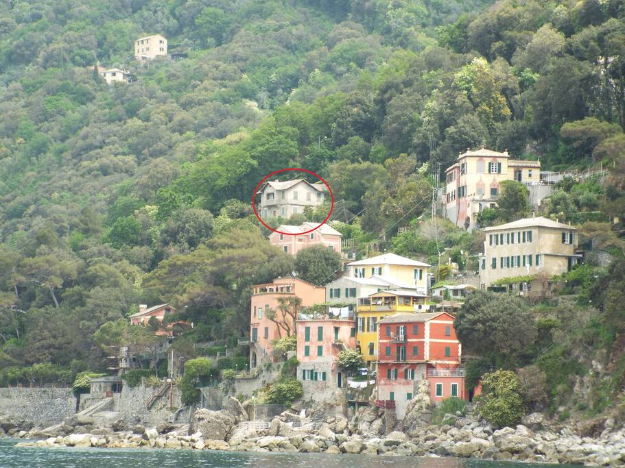 La Vecchia Signora!