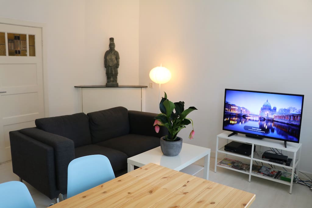 Comfy couch and large television