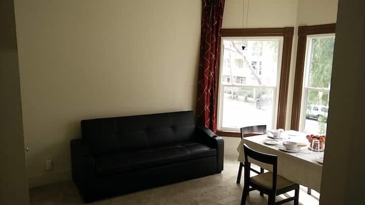 Beautiful Apartment In Downtown Sj