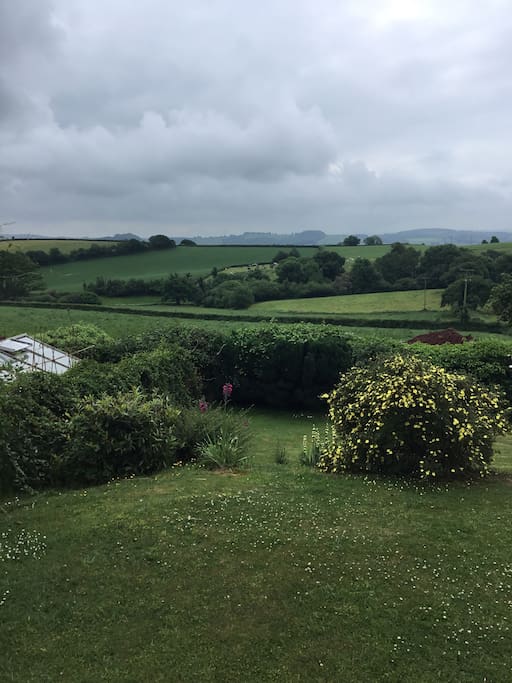 View from the garden
