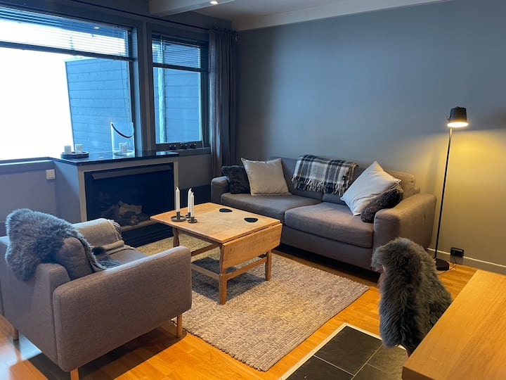 Dnevni boravak s kaučem i foteljom s 2,5 sjedala. The sofa is and a sofa bed (Bolia) with madrac of 160cm. 