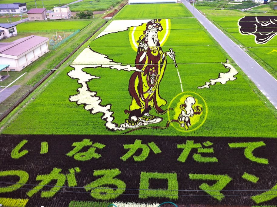 Rice field art