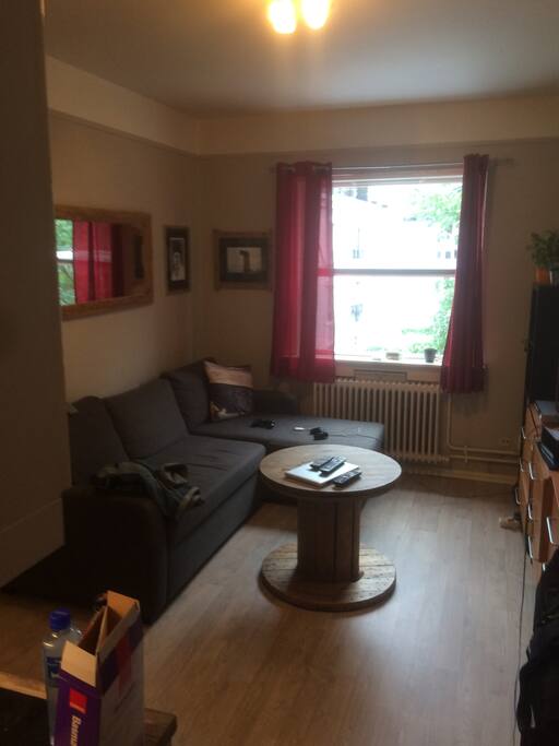 The other end of the living room. A sleeping couch(just push the table when you are going to bed. A large window overviews the backyard.