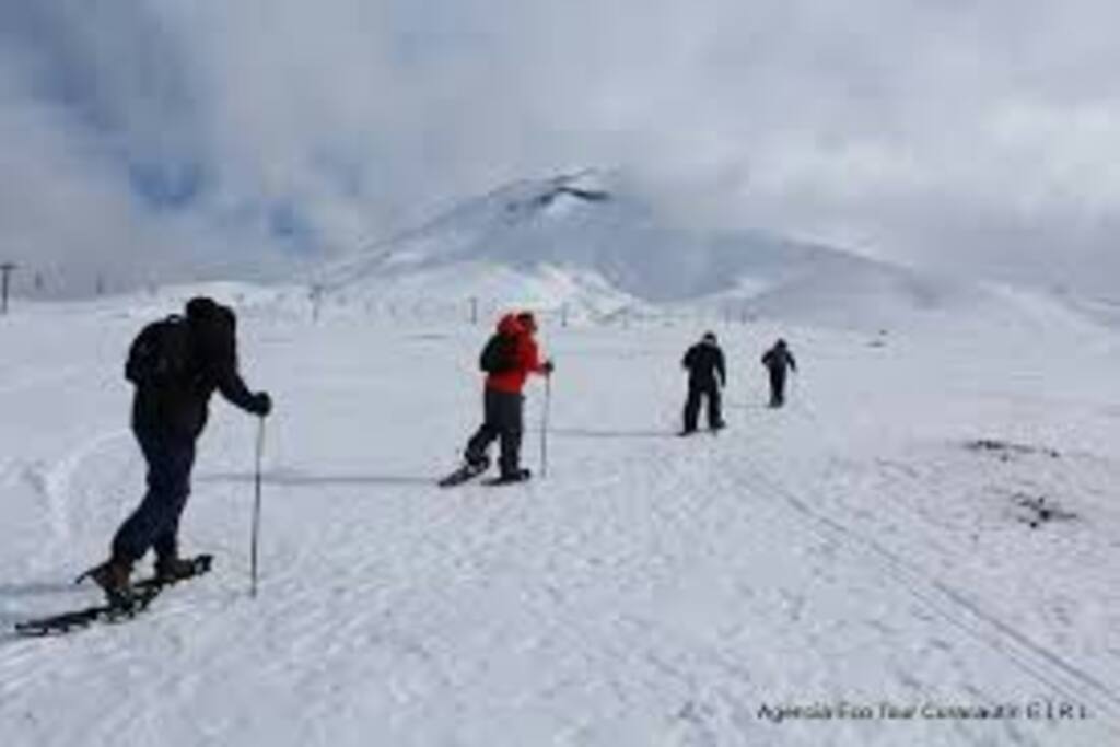 A 48 kms asfaltado de Centro invernal Corralco, Volcán Lonquimay. Termas, Parques Nacionales...