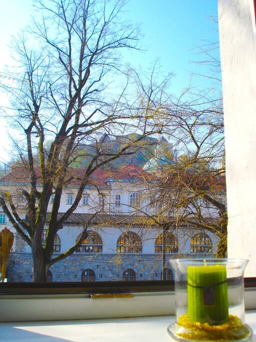 Great View of Castle