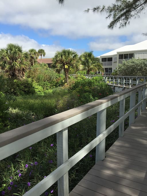 Beach Walkway