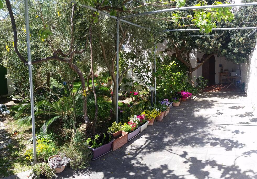 Entrance and car park - Ingresso e posto auto
