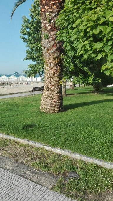 la playa céntrica con el paseo