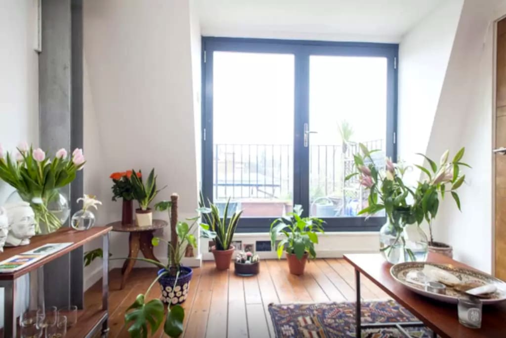 Shared living space