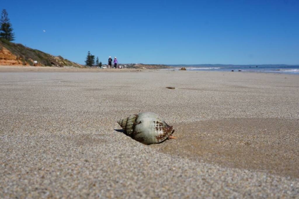Beautiful Moana Beach