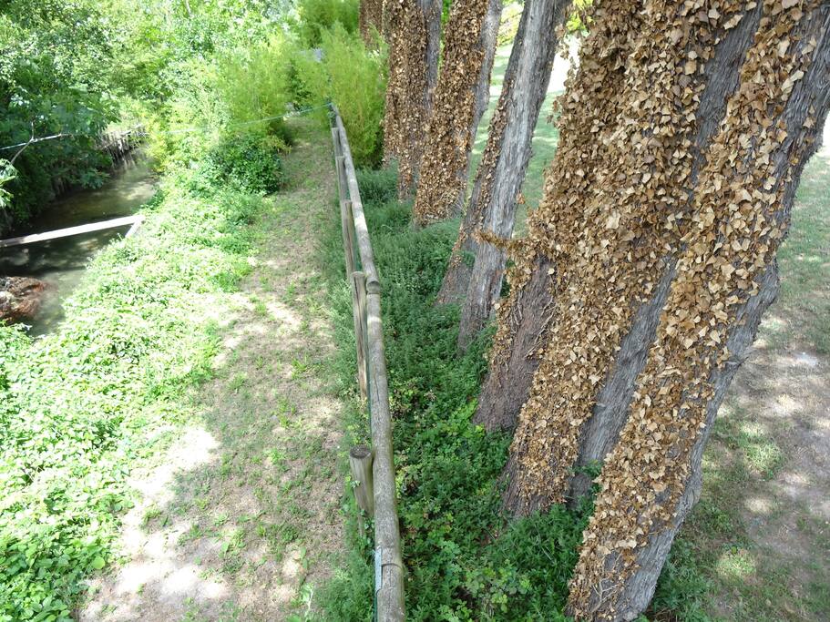 Bord de Sorgue