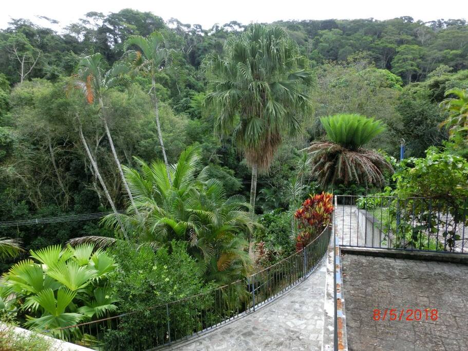 Blick von der Terrasse