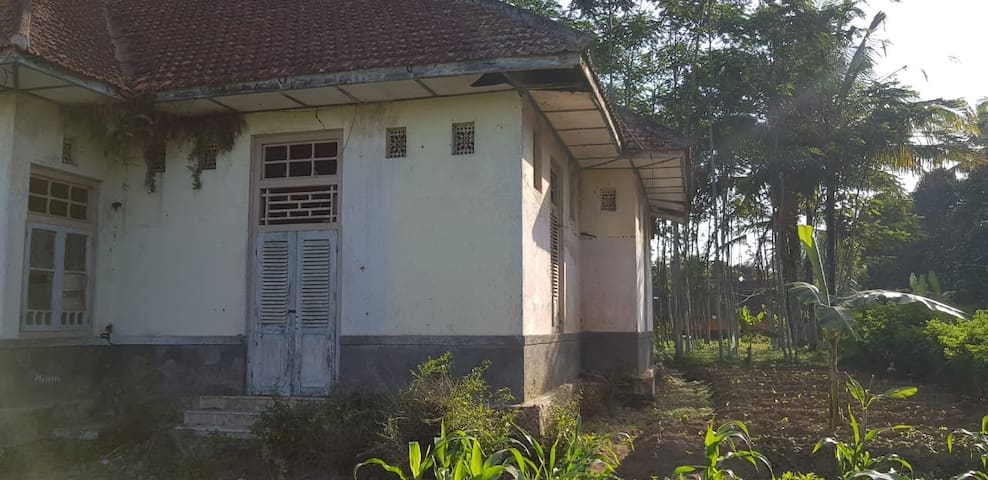 All of the old villas are Glenmore Banyuwangi East Java