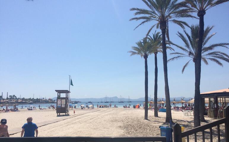 Beachfront private garden apartment. 2 bd A/C Wifi