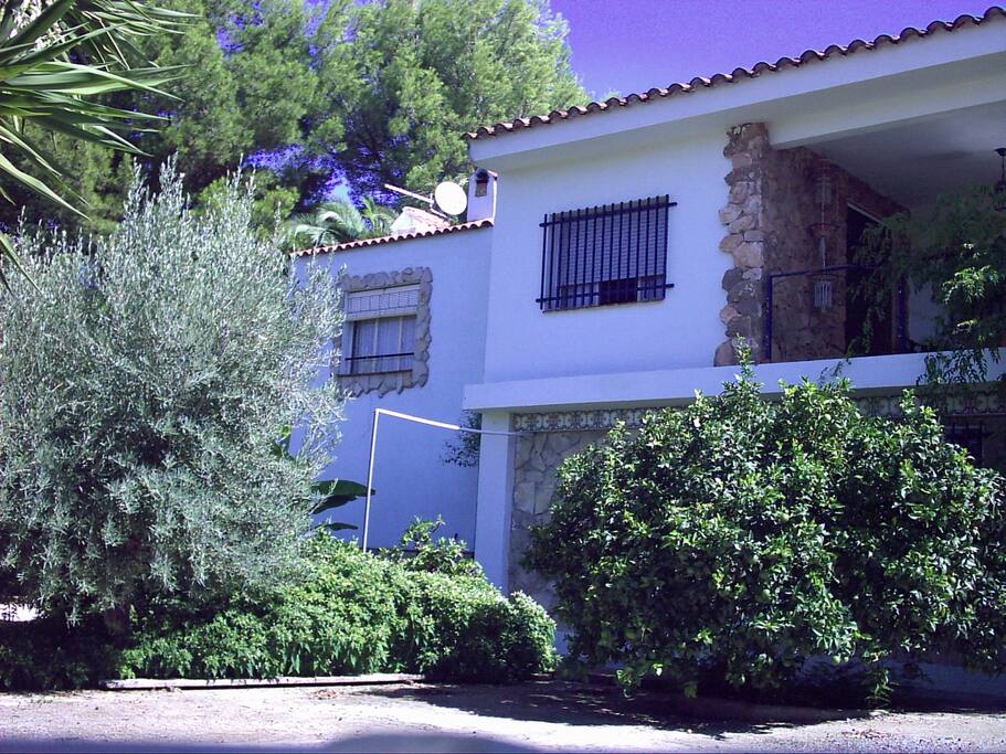 Other Front of house