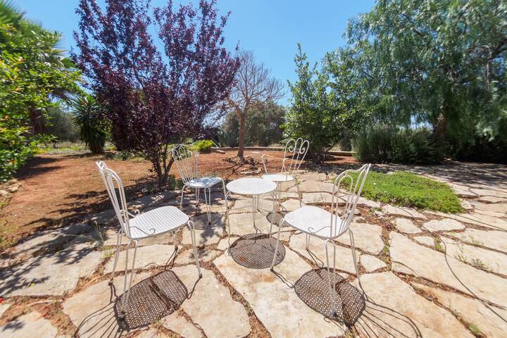 Villa Salentina tra gli ulivi a due passi dal mare gallery image 5