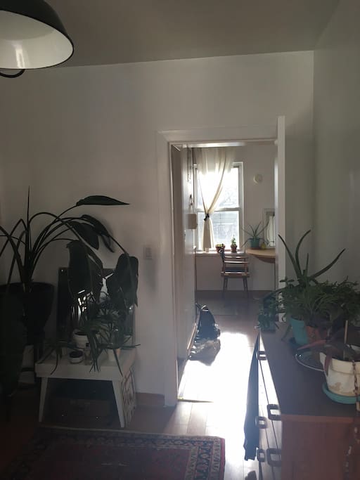 Light-filled space!