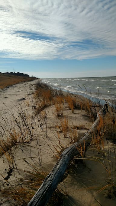 The dunes at Thanksgiving