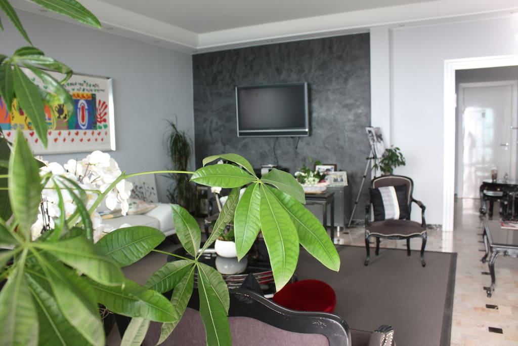 living room with plasma Tv