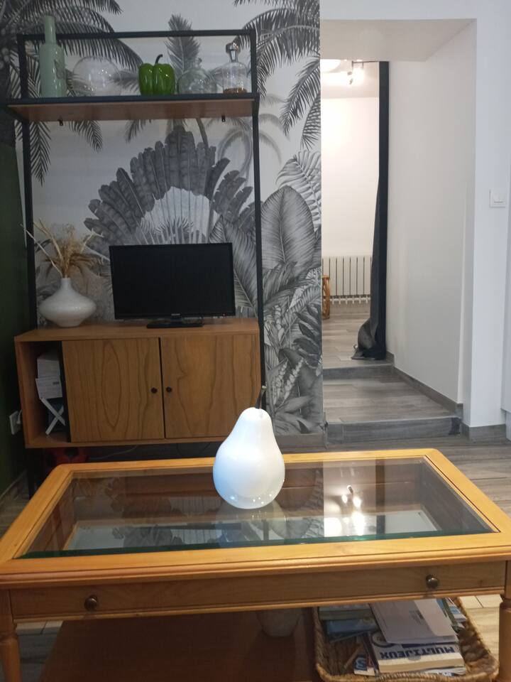 Comfortable and spacious apartment in the town center