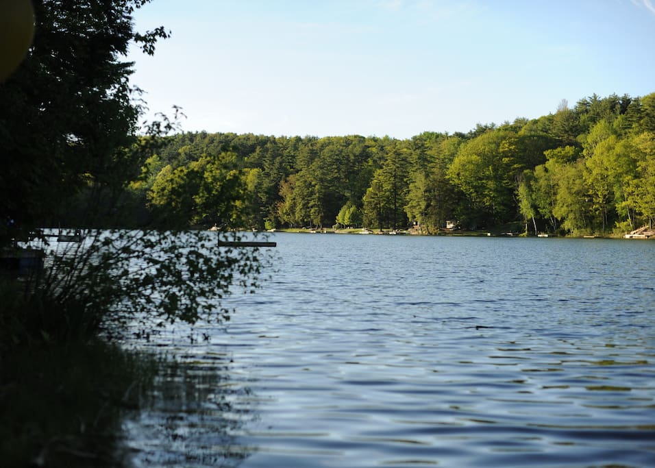 View of the lake from the dock