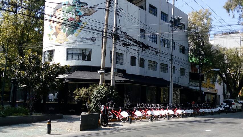 Casa Delfino 5 bed 3sh bath gallery image 3