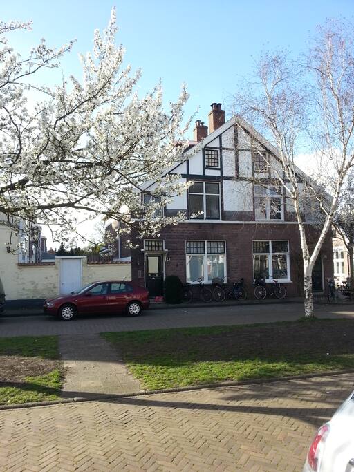 Situated on an quiet green square