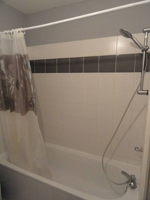Baignoire douche + 1 vasque