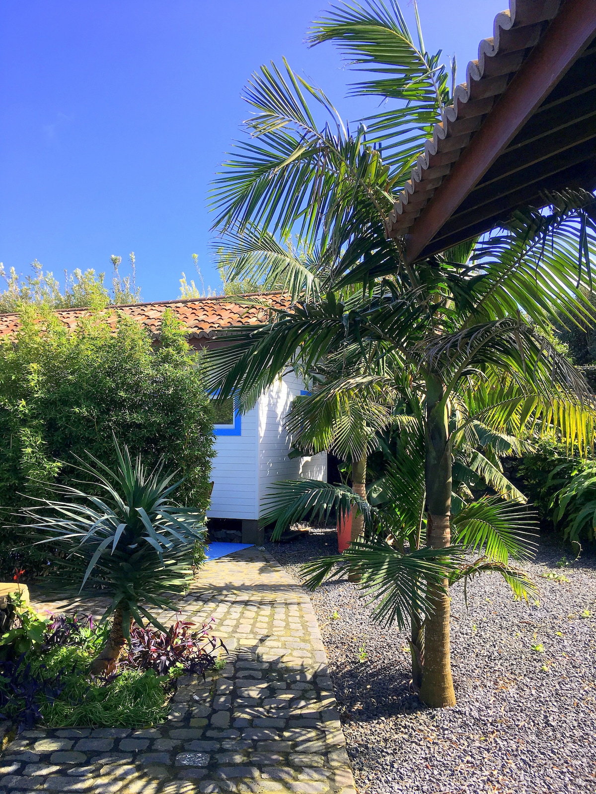 BANANAS LODGE Charming bungalow Surf, Golf Houses for Rent in